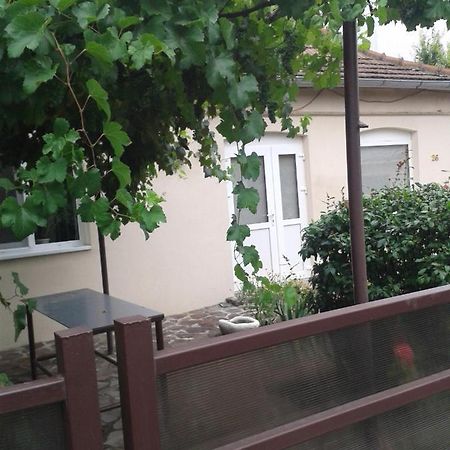 Pensiunea Casa Didina Bacau Bagian luar foto
