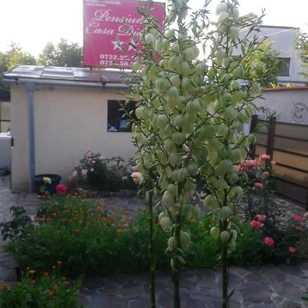 Pensiunea Casa Didina Bacau Bagian luar foto