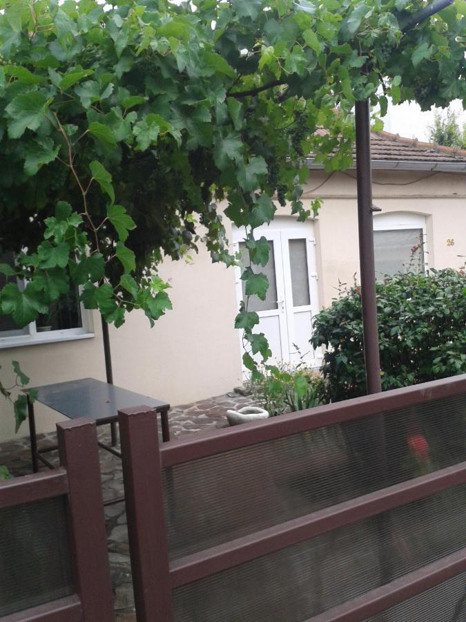 Pensiunea Casa Didina Bacau Bagian luar foto