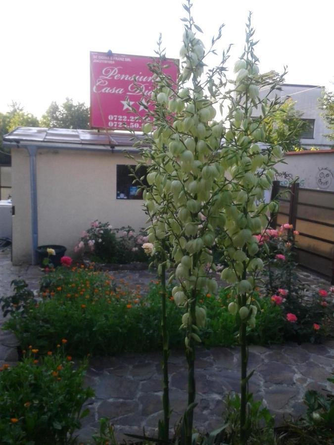 Pensiunea Casa Didina Bacau Bagian luar foto