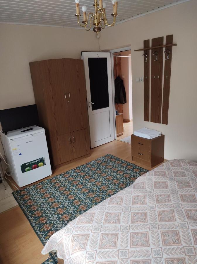 Pensiunea Casa Didina Bacau Bagian luar foto