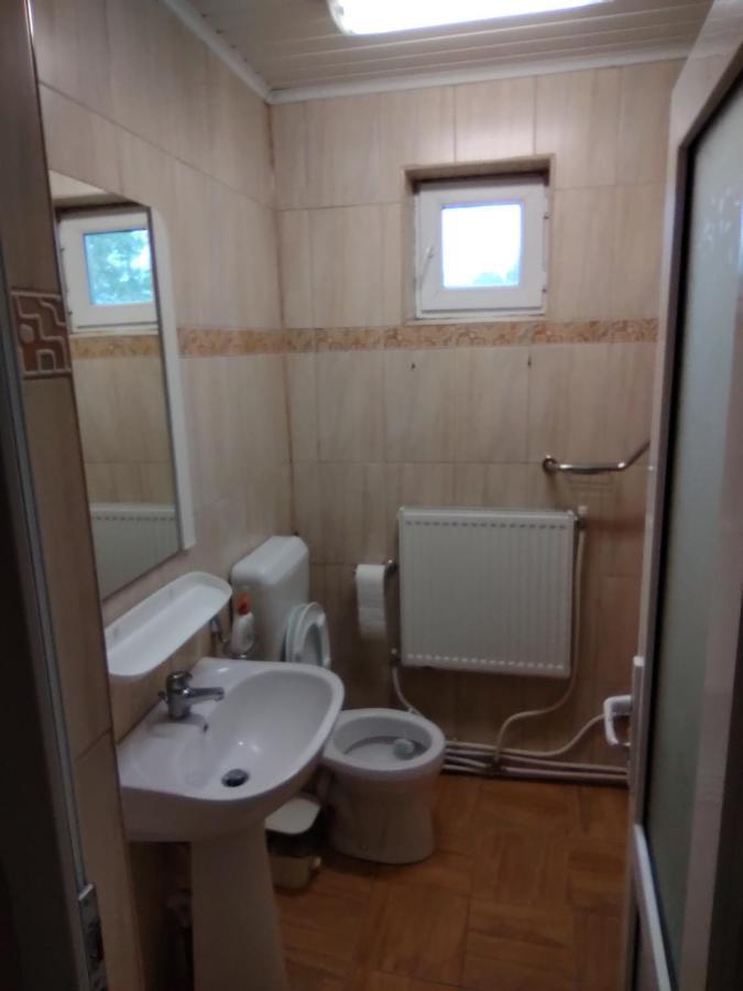 Pensiunea Casa Didina Bacau Bagian luar foto
